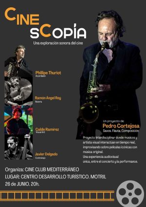 Cartel CinesCopia gris