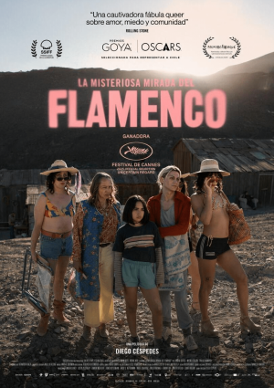 la_misteriosa_mirada_del_flamenc